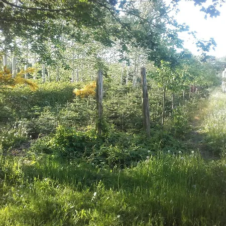 Lindholt Bed & Breakfast 3*