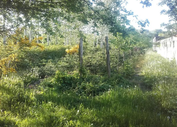 Lindholt Bed & Breakfast 3*